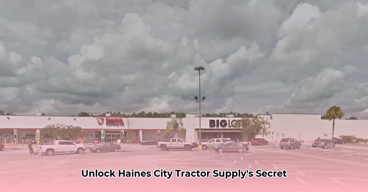haines-city-tractor-supply